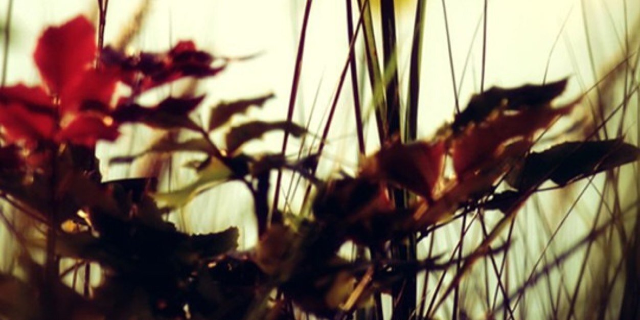kia_adc's profile banner image