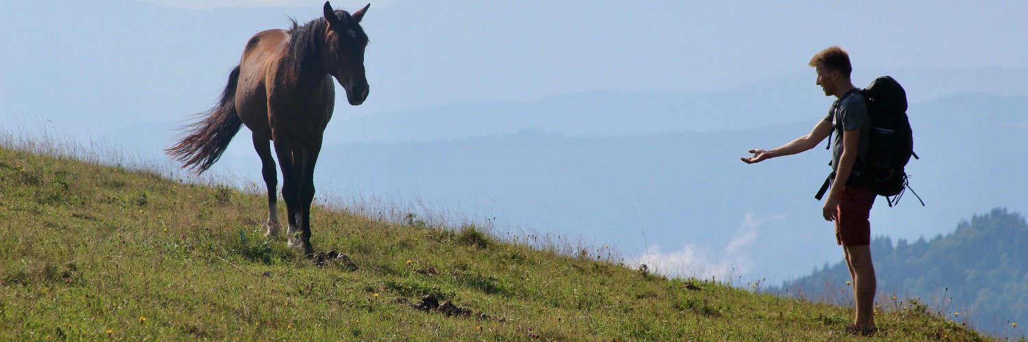 aldrago's profile banner image
