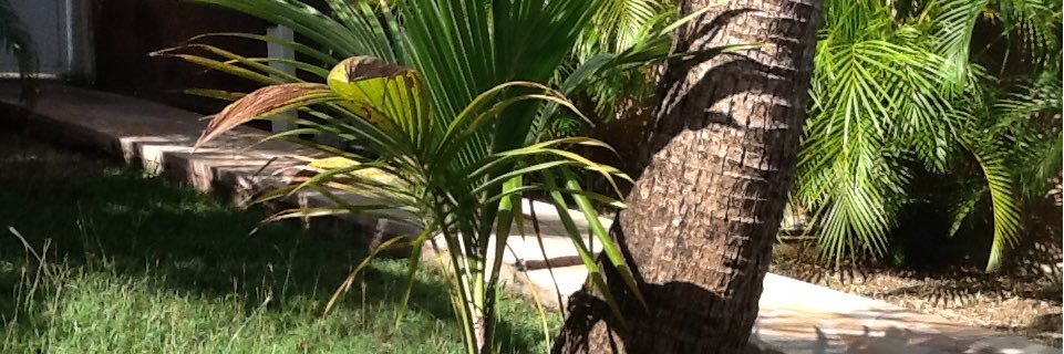 JCC4785's profile banner image