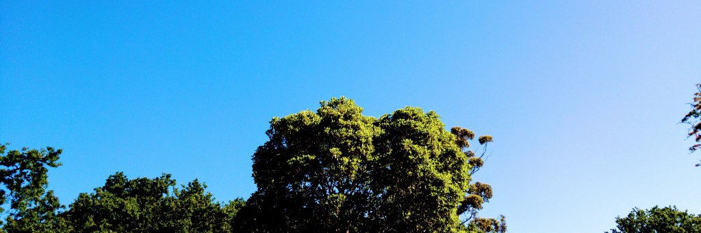 Chris_Barrell's profile banner image