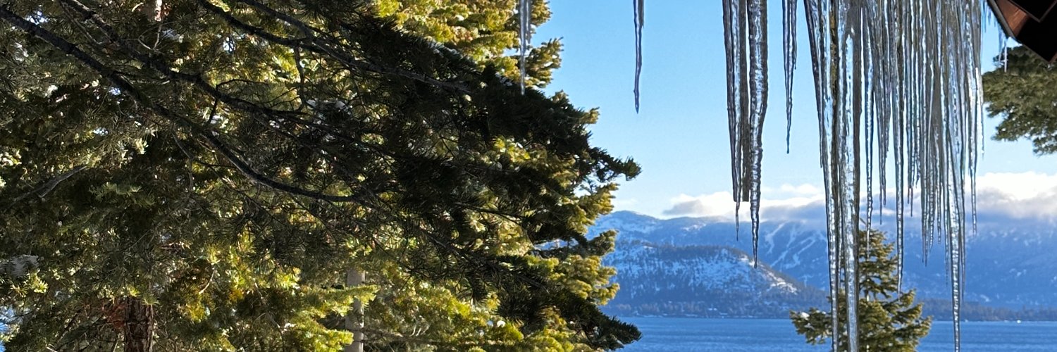 Erica banner