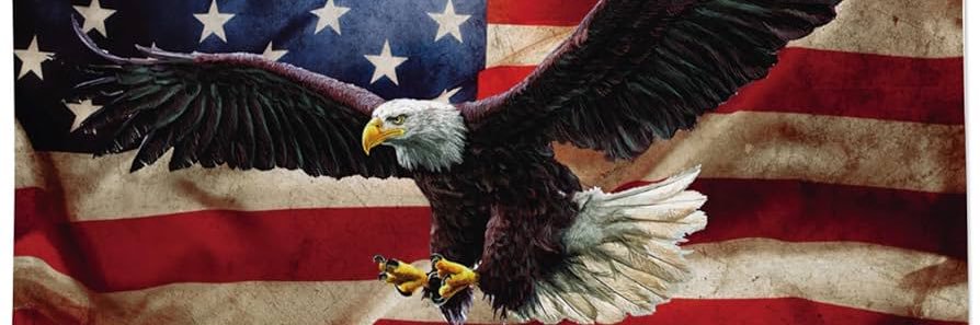 This_Guy666's profile banner image