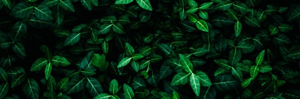 Ryan Hunter banner