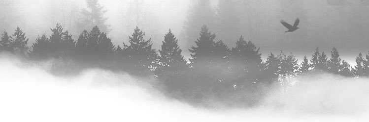 GhaderAlhusaini's profile banner image