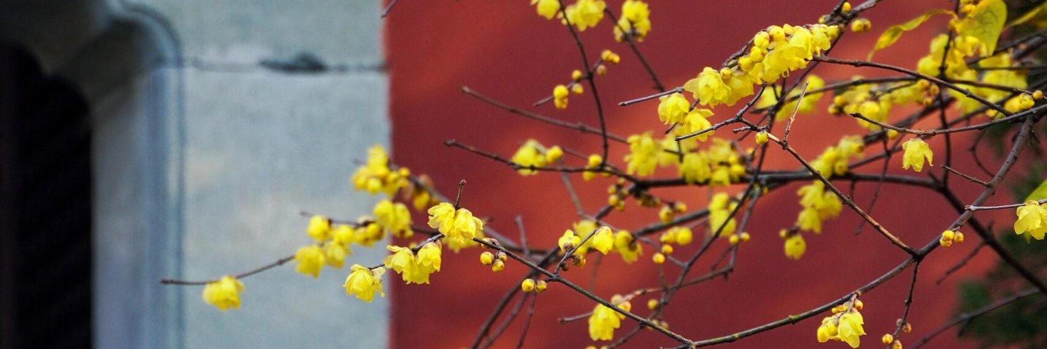 BNguyen76216's profile banner image