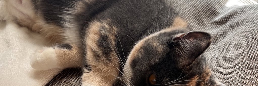 じよん🌸 banner