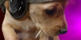 yabes293's profile banner image