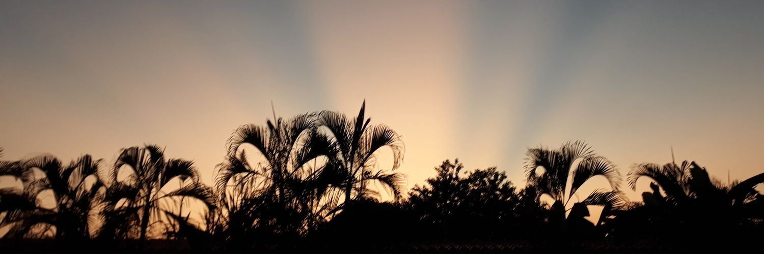 RicoVBM's profile banner image