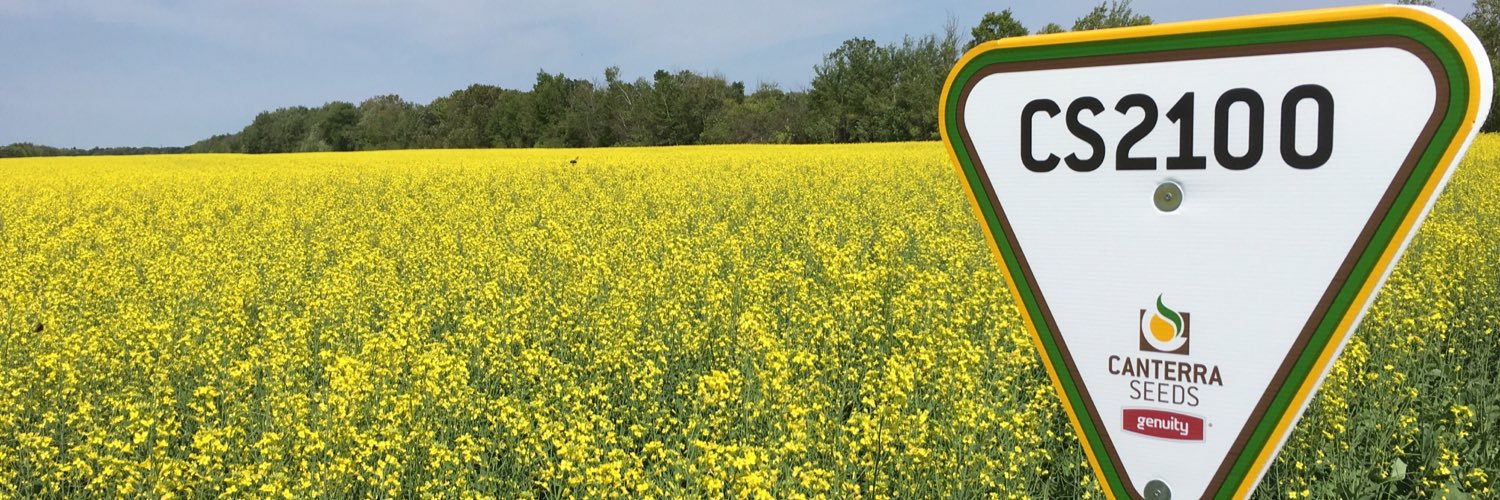 ChorneyErin's profile banner image