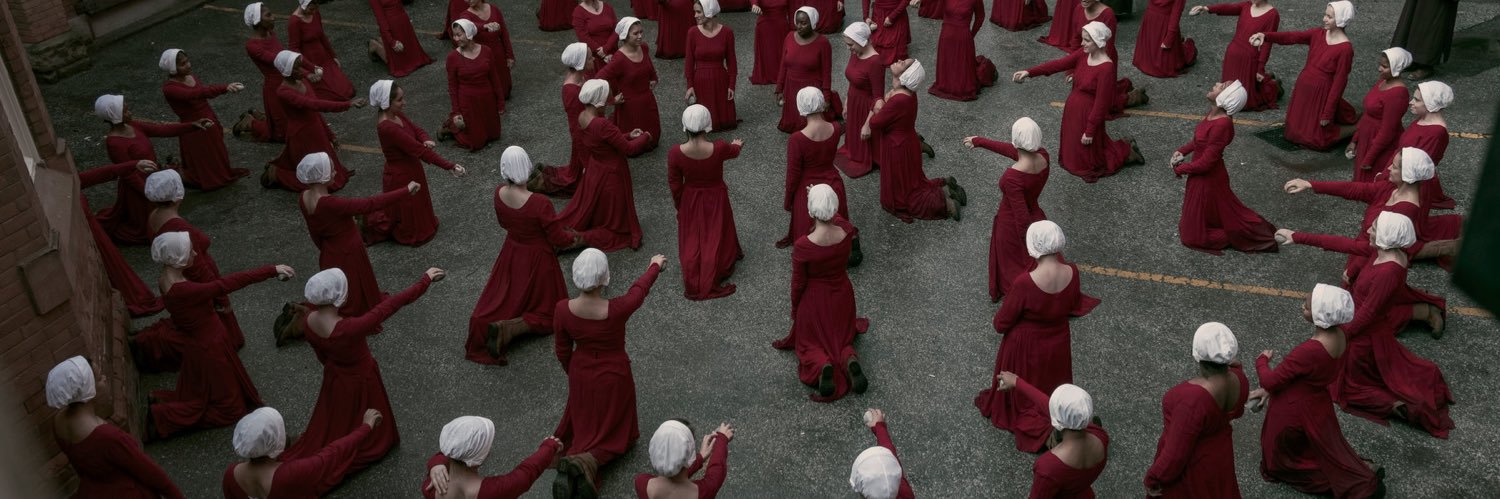 OOTW BRIDGE X2 🐶🍁🌷🇫🇷💚💛💜❤️🩵🖤🩷🩶🤎💙🤍🧡 banner