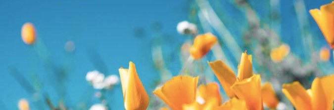 mdlujan's profile banner image
