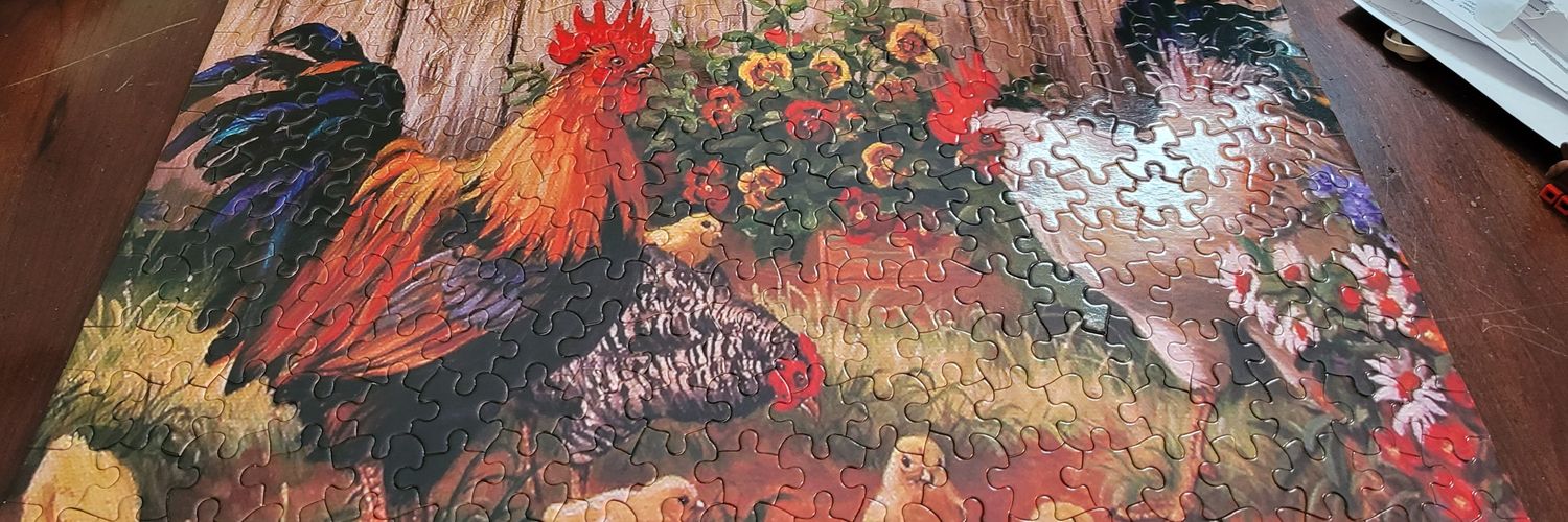 RSWasteLnd's profile banner image