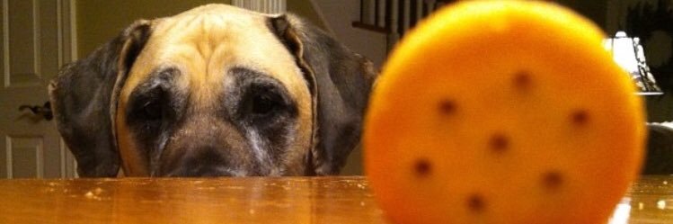 noahschleinitz's profile banner image