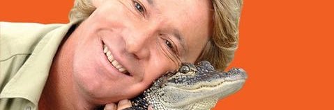 roisinmfloyd's profile banner image