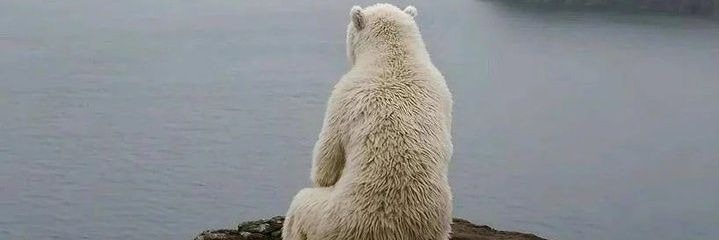 Alexander 🇮🇱USA,GB,UKR banner