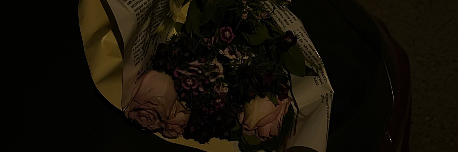fvska9's profile banner image