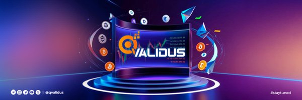 Qvalidus1 Profile Banner
