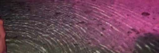 EnTomis's profile banner image