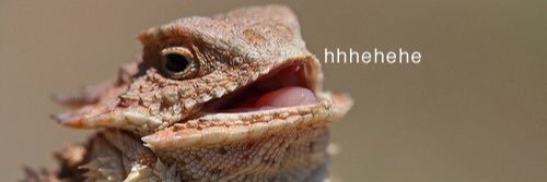 bopeezeee's profile banner image