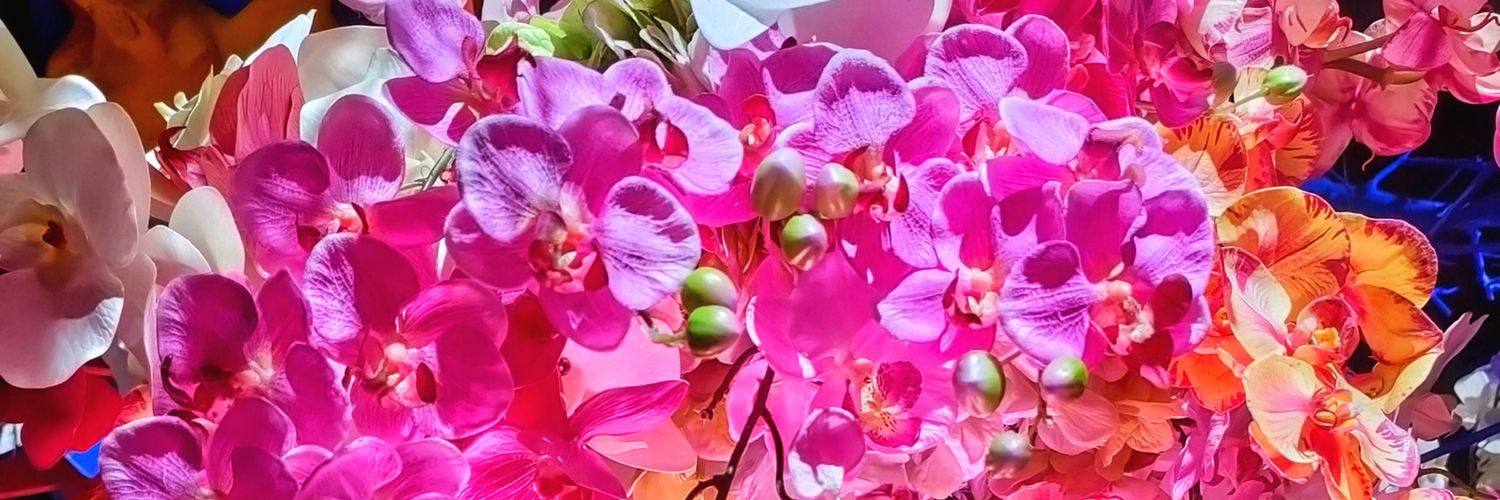 ちももも banner