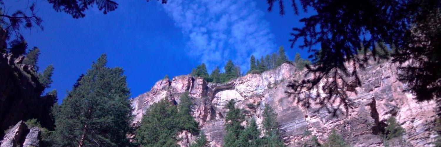 Sandra Zoratti banner