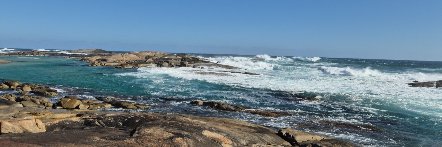 Paul Fimognari banner