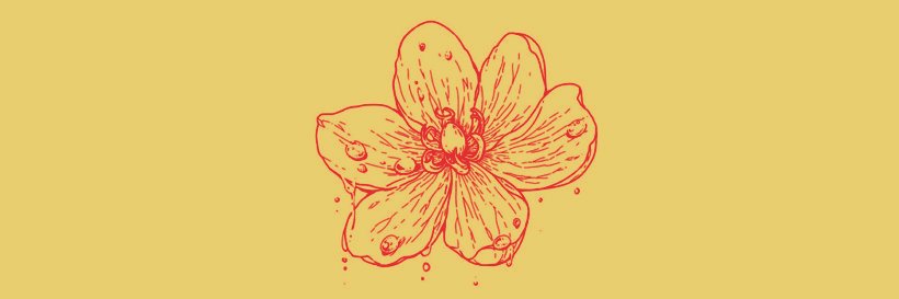 acexkjh's profile banner image