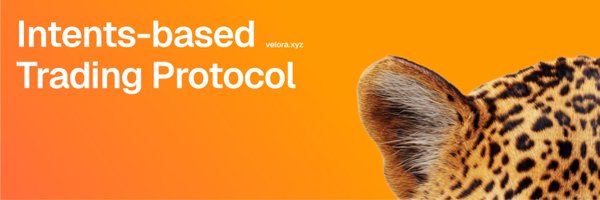 paraswap Profile Banner