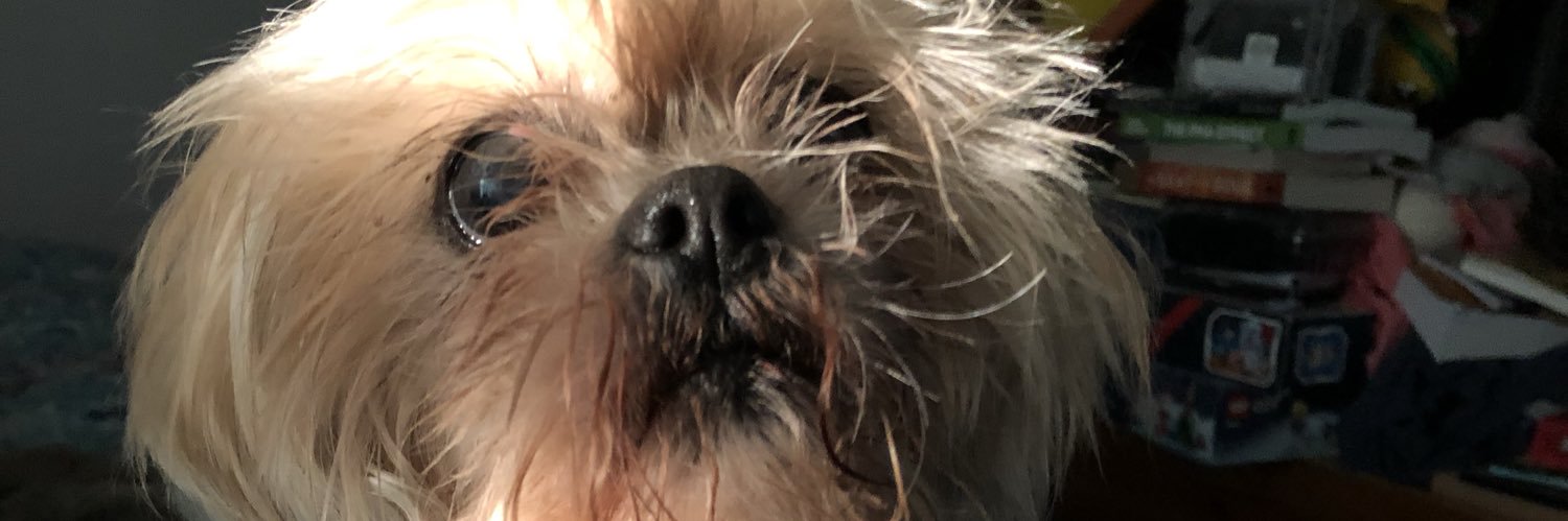 heatherfiore11's profile banner image