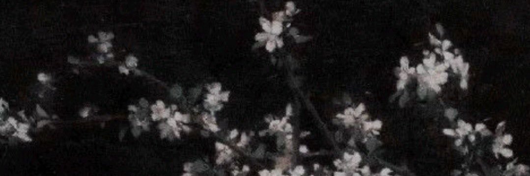 𐔌՞. .՞𐦯 banner