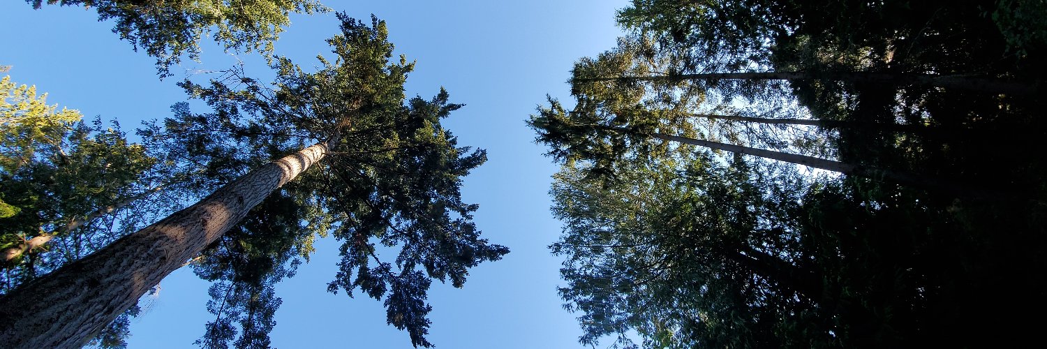 BenwickBrick's profile banner image