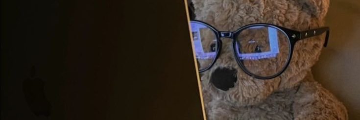 xopatcha's profile banner image
