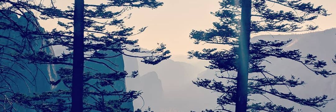 kimmohaapanen's profile banner image