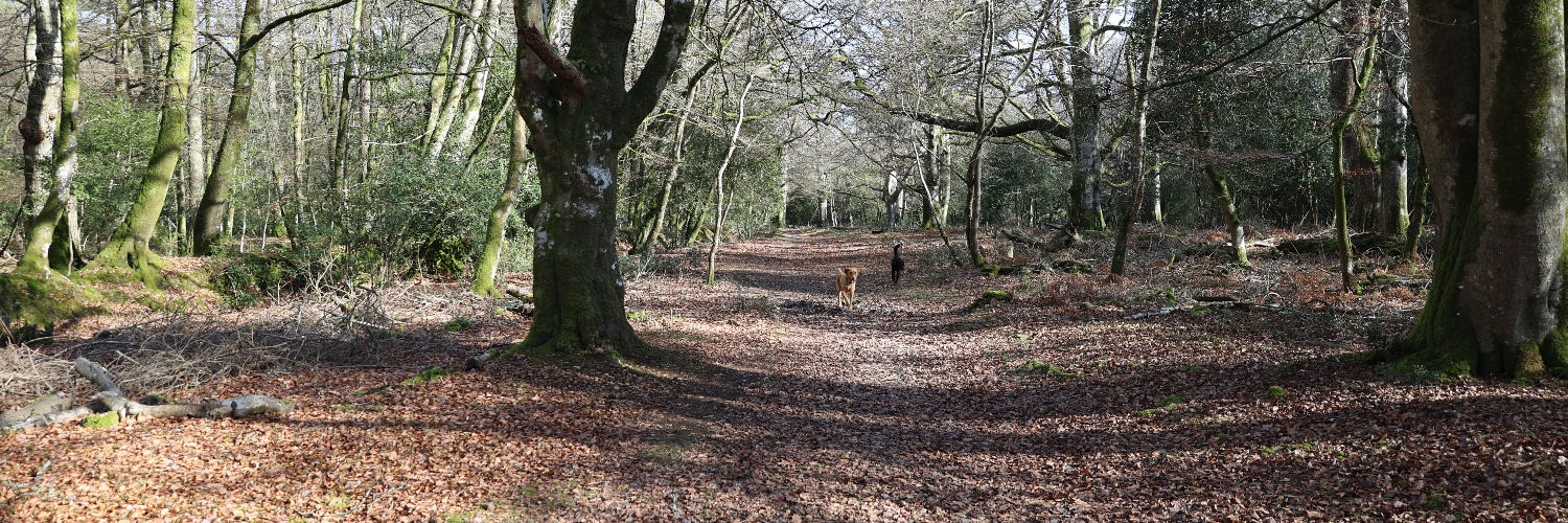 DuncanWalling's profile banner image