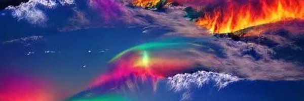 holistic_chels Profile Banner