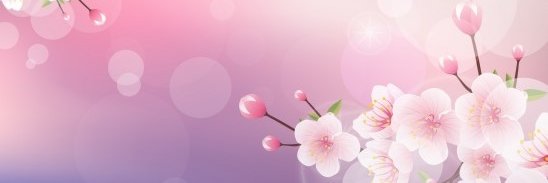 SnuggleMeStupid's profile banner image