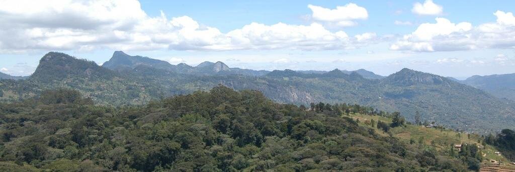 TayoMwangoji's profile banner image
