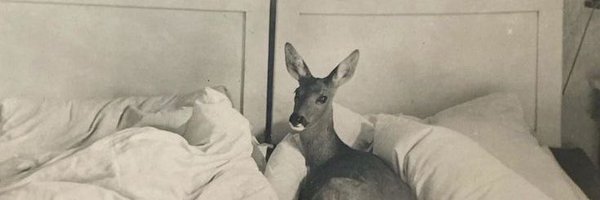 ccurleyarchive Profile Banner