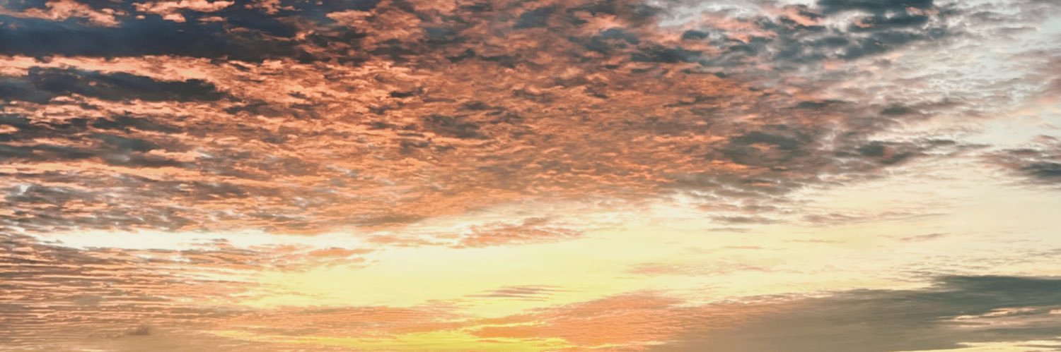 pec_sex02's profile banner image