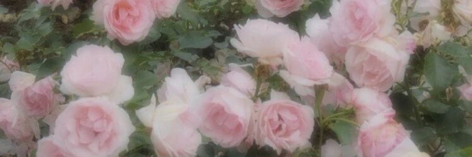 愛's banner