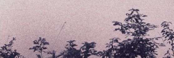radshley's profile banner image