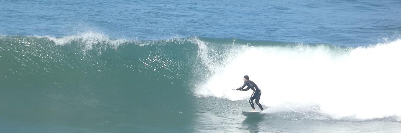 Aviv Shamny banner