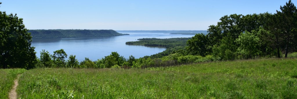 Newfangled Dad banner