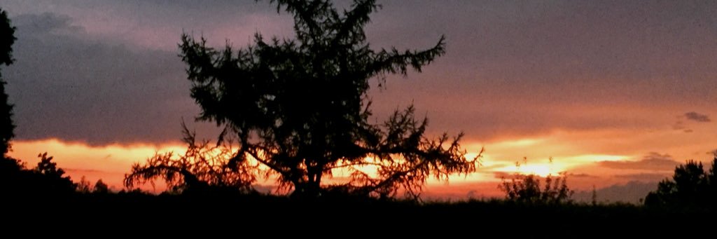 pati_pr's profile banner image