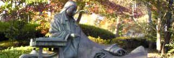 superoiseaubleu Profile Banner