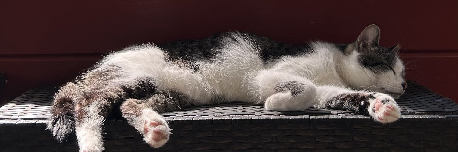 gizmo ( ˘ω˘ ) banner