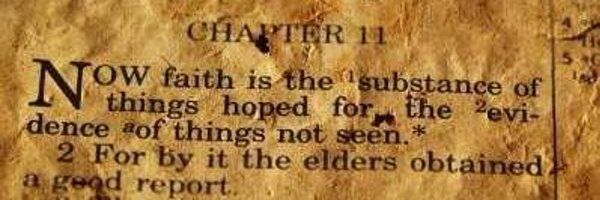 lamsdayn3 Profile Banner