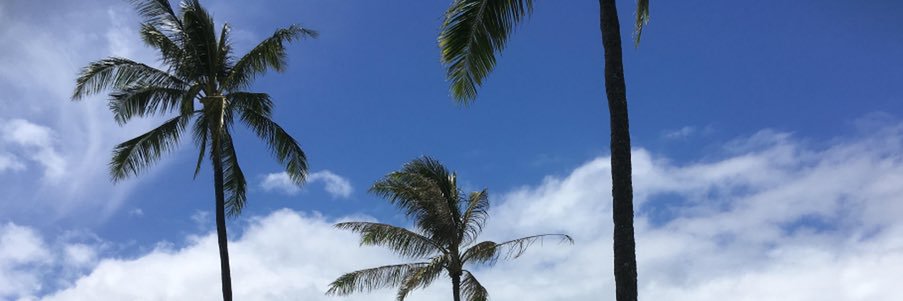 LuciaM59's profile banner image
