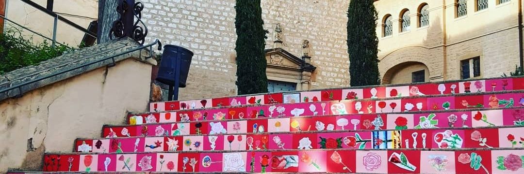 Gina Pol Borràs banner