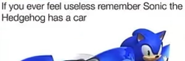 CanisMajor1121 Profile Banner